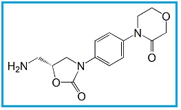 Rivaroxaban Impurity 5